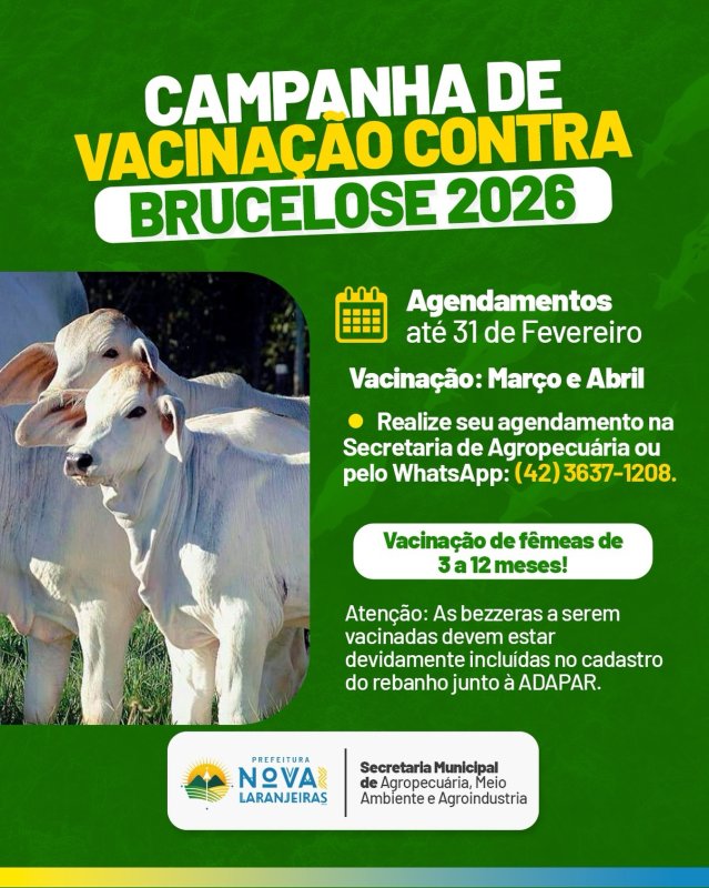 Campanha de Vacinação Contra a Brucelose 2026